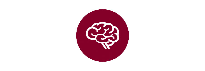 Brain icon.