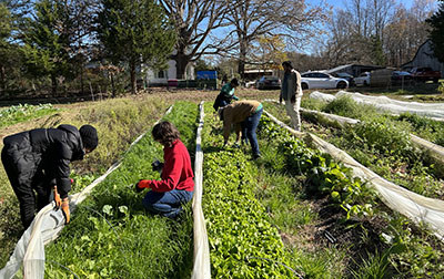 Fields 4 Valor Farms grew out of Peter's love for gardening and his desire to help other veterans.