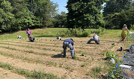 Fields 4 Valor Farms grows a wide variety of crops, and also has chicken, eggs, and honey.