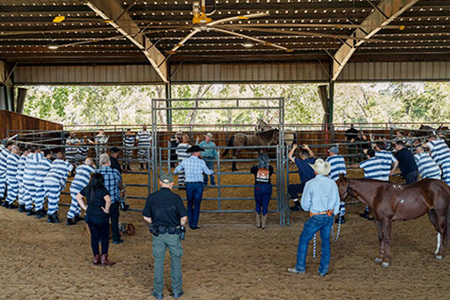 WWP And National Press Foundation Honor Journalism That Deepens Understanding Of Veterans