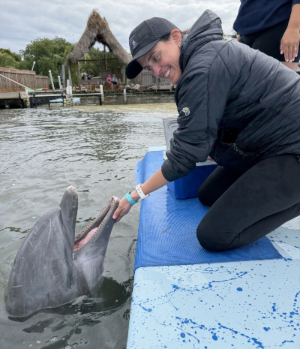 Pender petting a dolphin