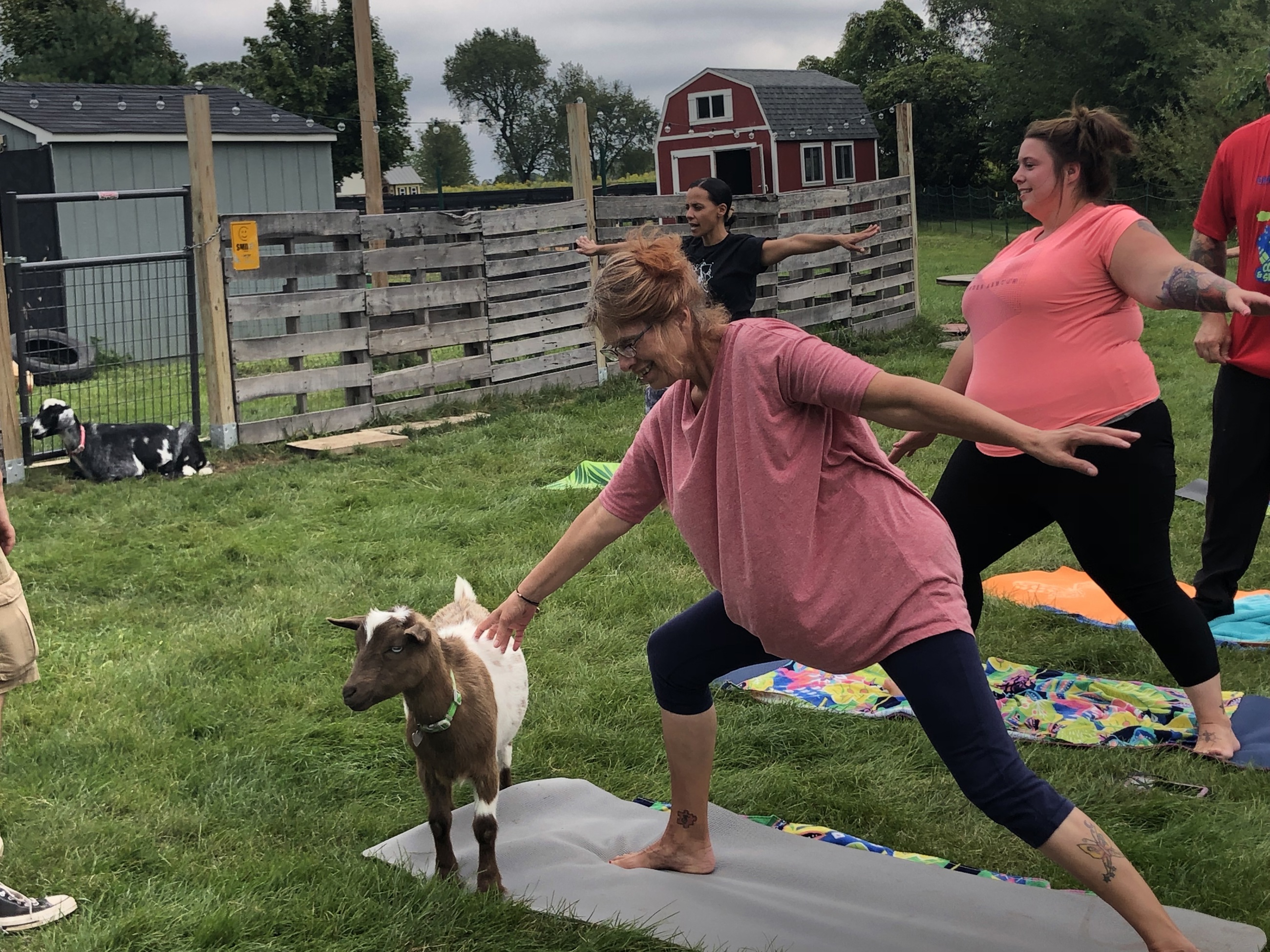 Goats distracted veterans from PTSD, chronic pain, and other issues at a recent goat yoga event organized by Wounded Warrior Project®.