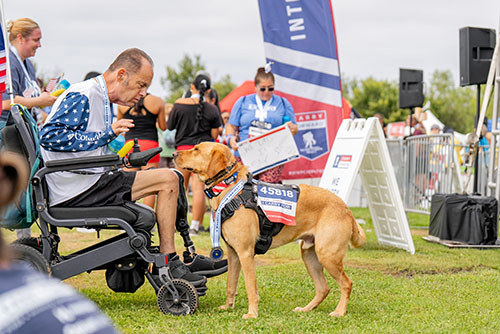 Support For WWP Main