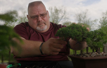 Air Force veteran Tim McDonough trims the branches of a bonsai tree.