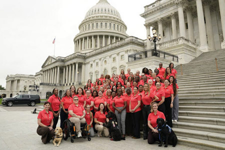 Honoring Warriors This Veterans Day