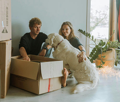 A couple and their dog moving into a new house.