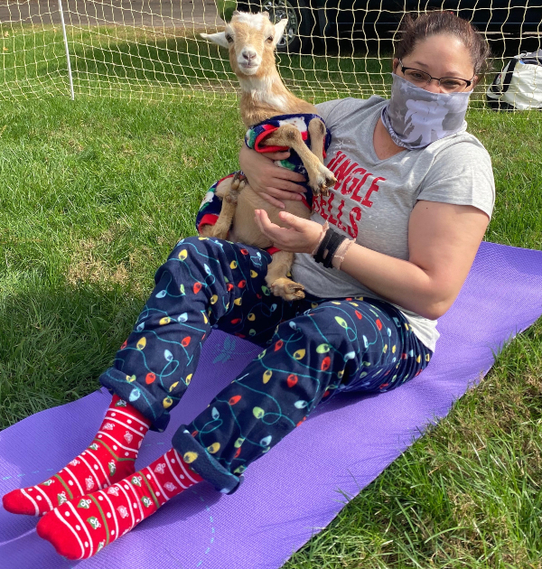 veterans doing goat yoga