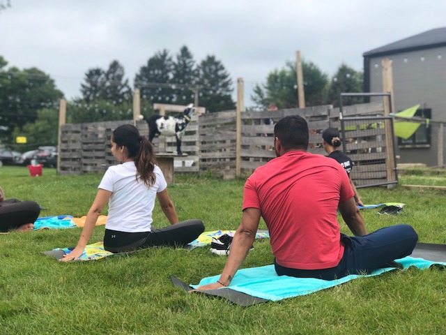 Goats distracted veterans from PTSD, chronic pain, and other issues at a recent goat yoga event organized by Wounded Warrior Project®.