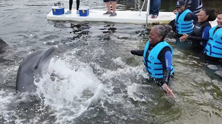 Jackie Gordon stands laughing in the water while a dolphin splashes in front of her.