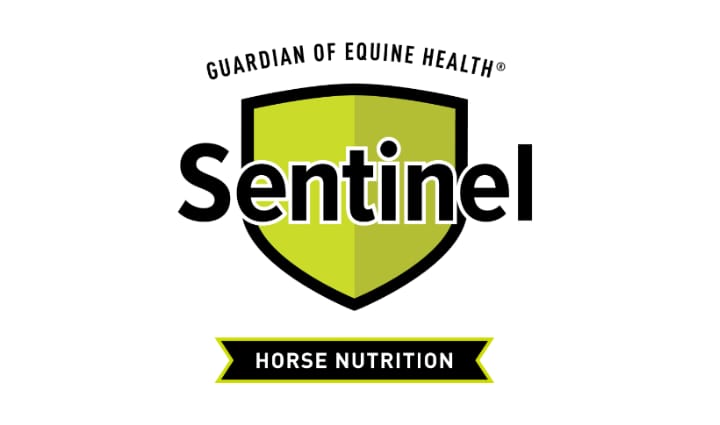 Logo de Sentinel | Vigilancia de la salud equina | Nutrición del caballo